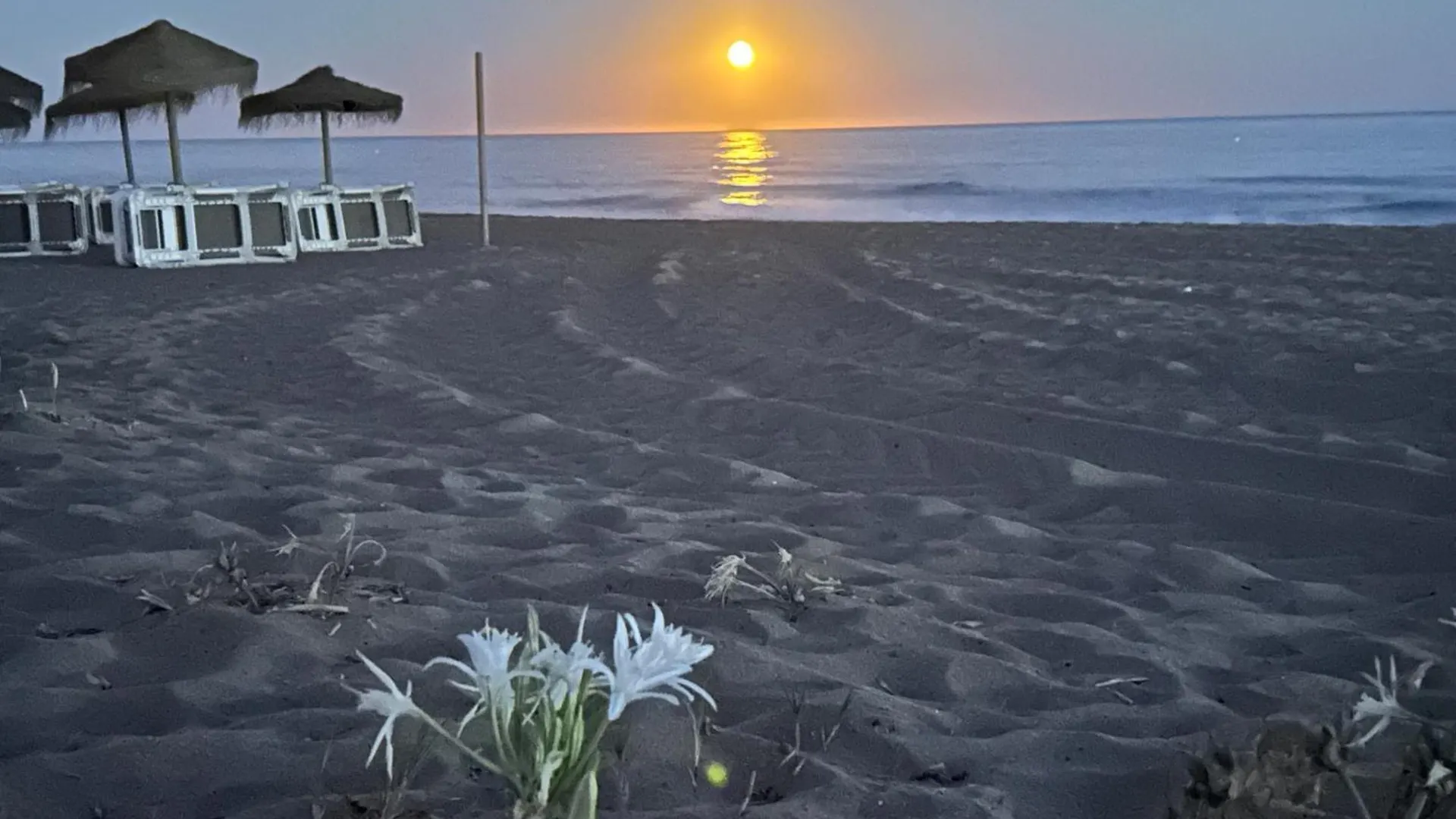 Σπίτι διακοπών Mar Y Arena Βίλα Sitio de Calahonda